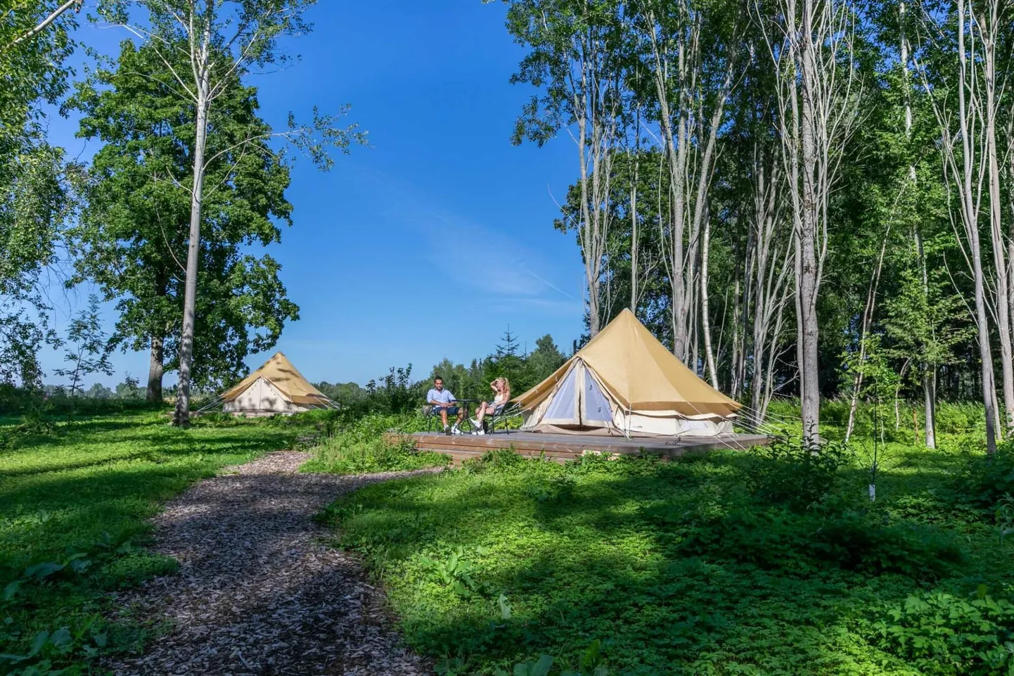 Allikukivi glampingu perenaise Raili Heina sõnul on suvebroneeringuid praegu hõredalt, aga see ei pane liialt muretsema, sest eelmine aasta näitas, et külastusotsused tehakse väga lühikest aega ette.