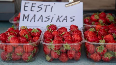 Kus olid tänavu soodsamad maasikad, kas Eestis või Soomes?