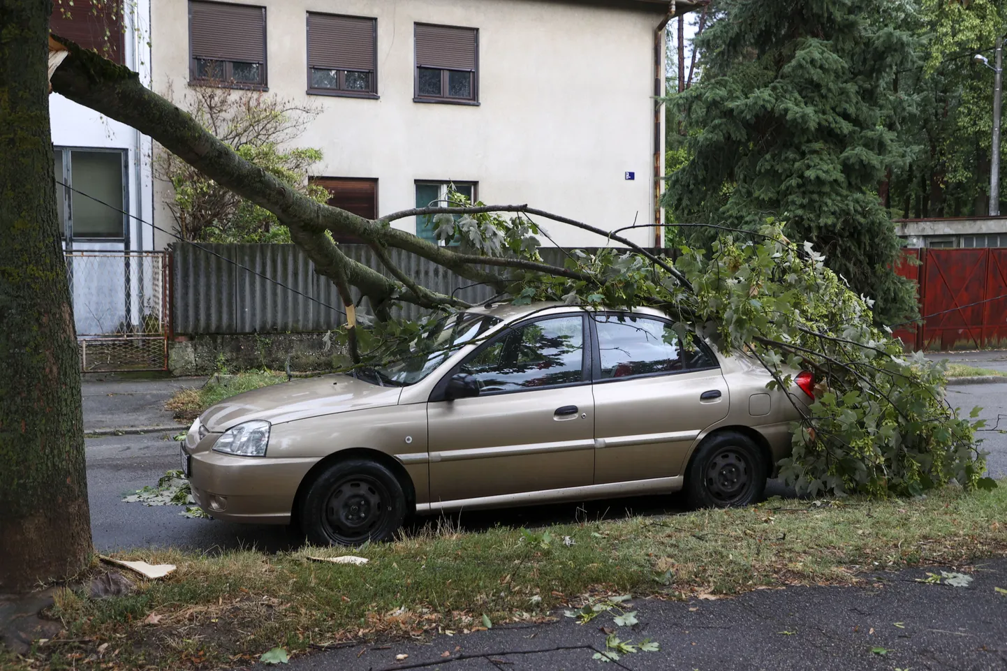 Tormi ajal sõidukile langenud puu Zagrebis.