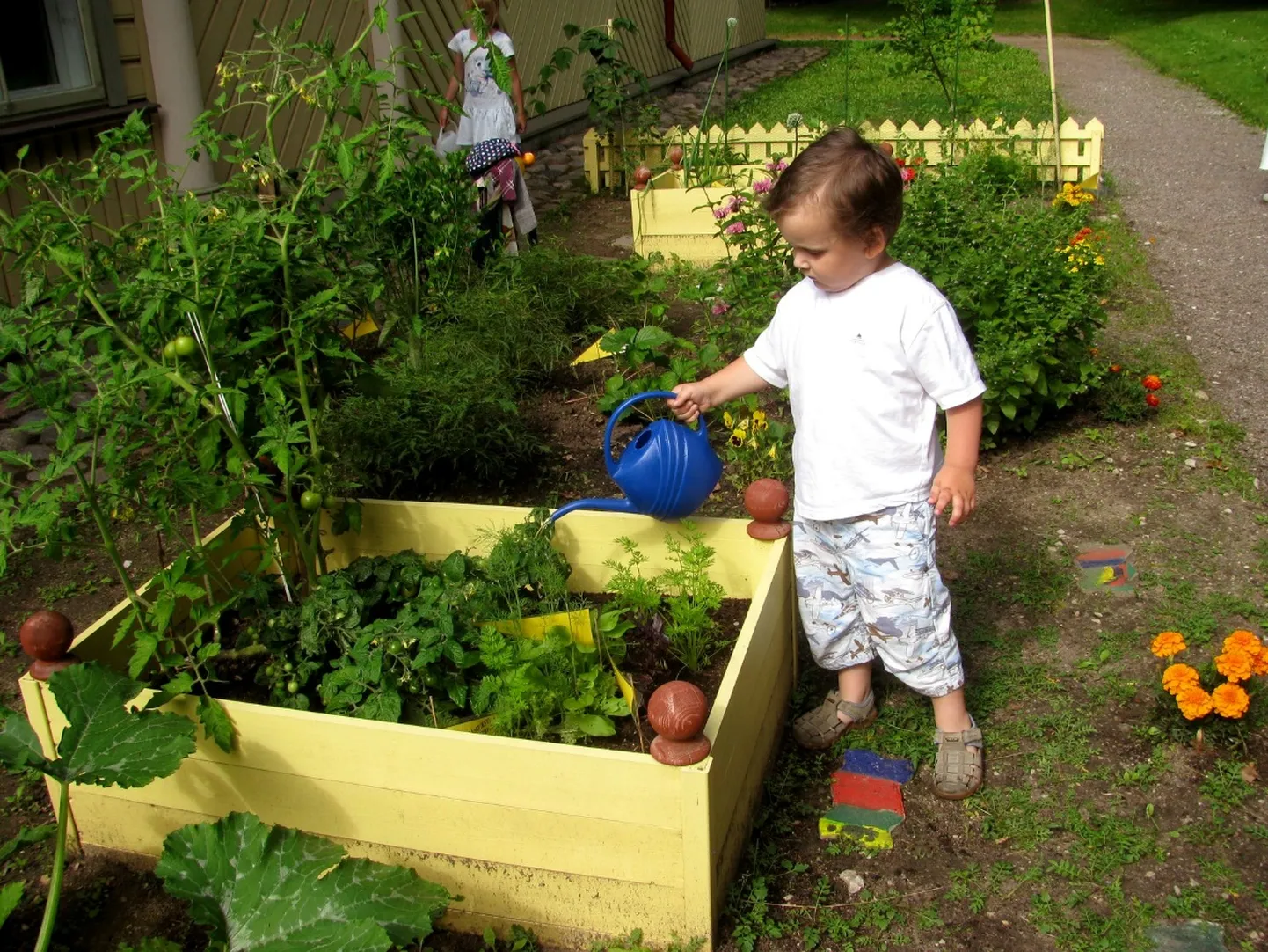 Miiamilla miniaias on avatud keskkonnahariduslik välinäitus «Roheliste näppudega lapsed».
