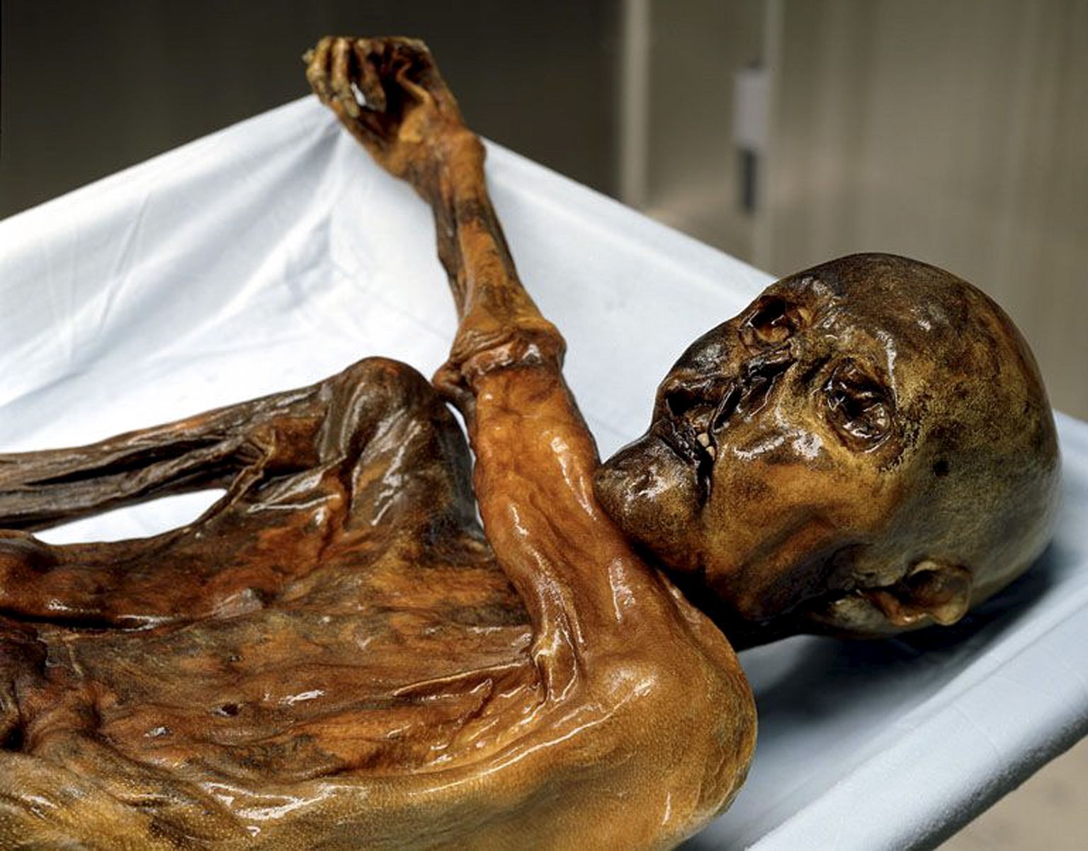 Jäämees Ötzi
