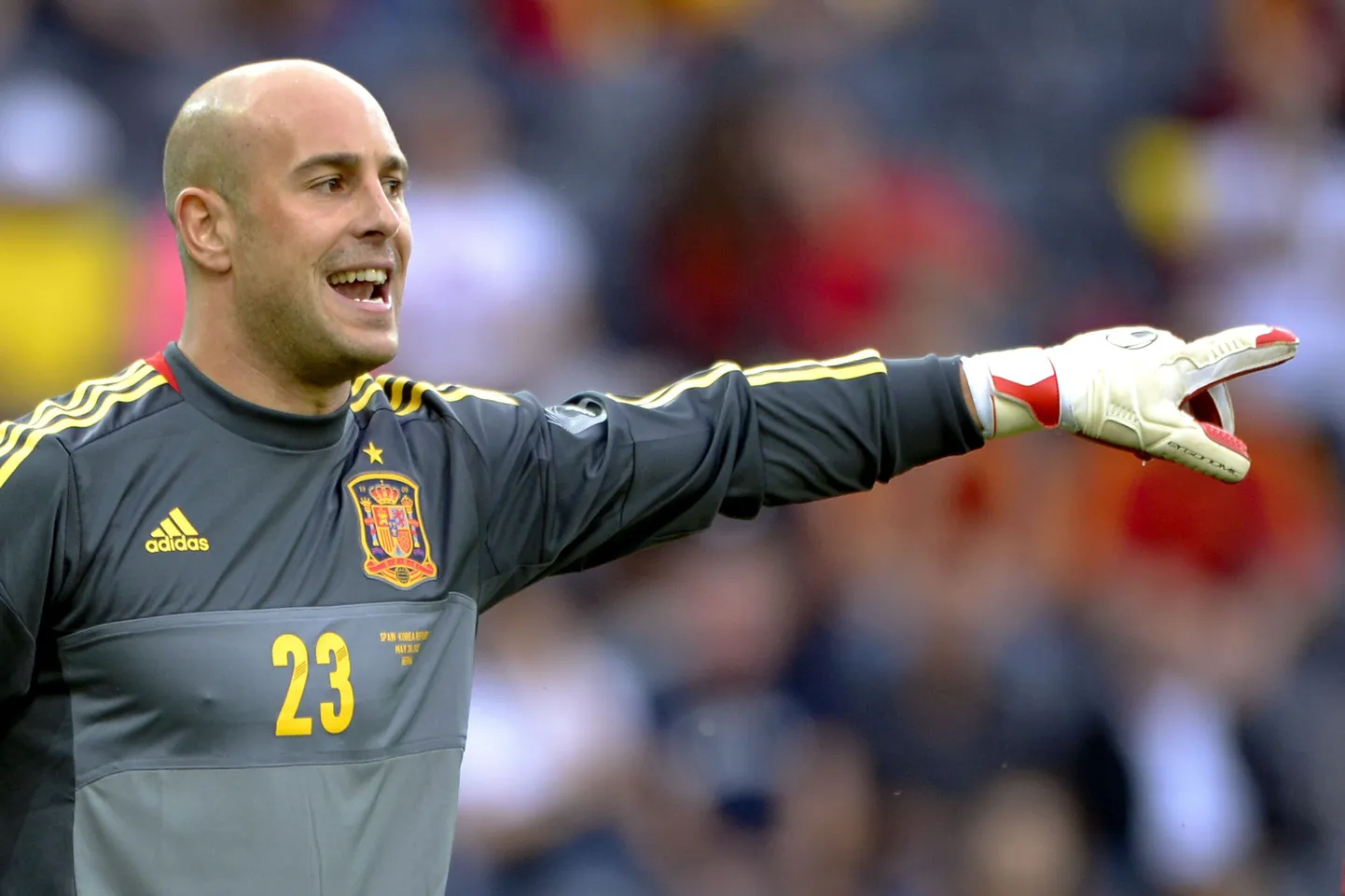 Hispaania koondise väravavaht Pepe Reina.