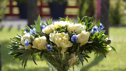 Kaval nipp aitab pojengiilu nautida ka sügisel