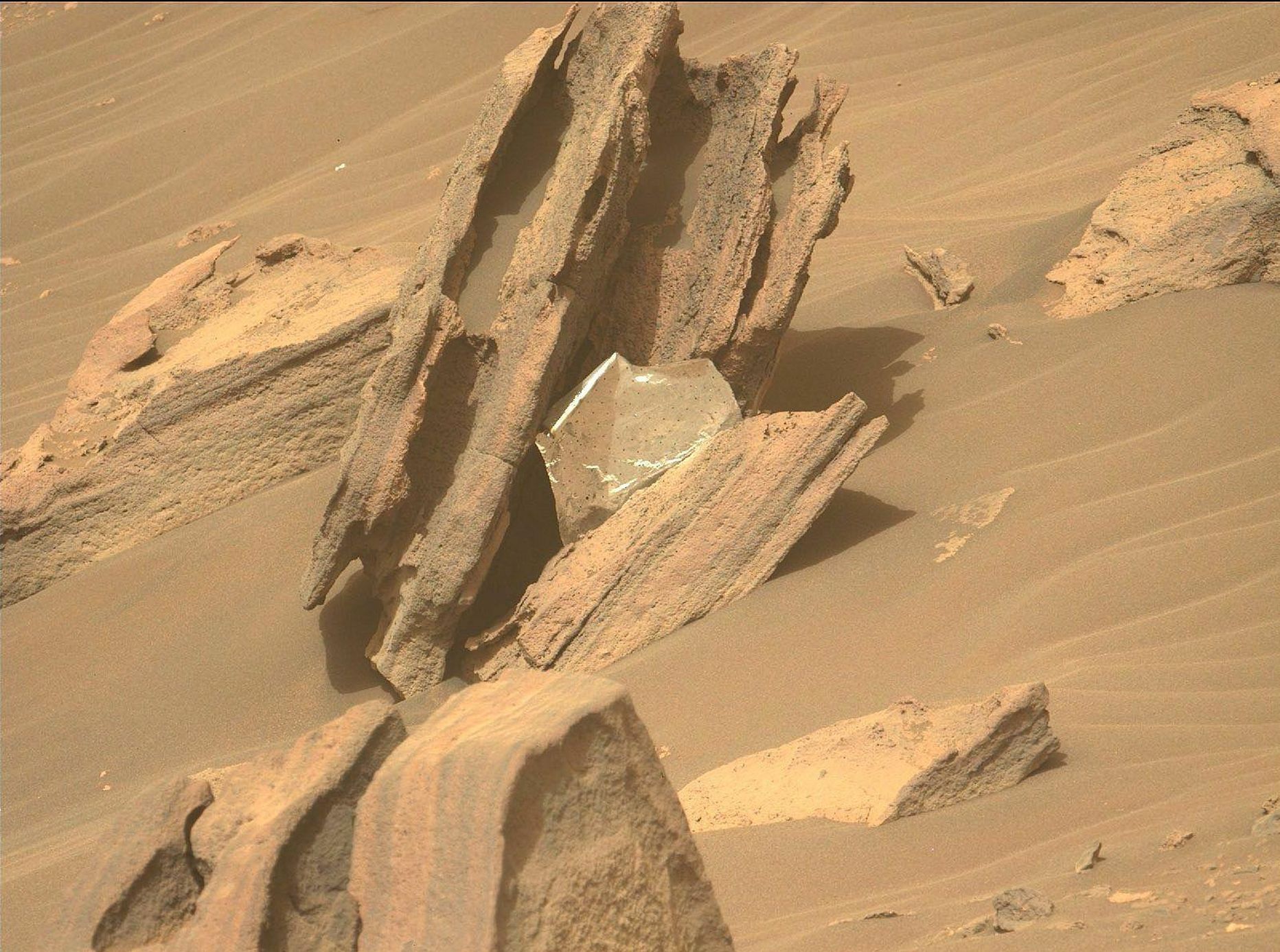 Tehismaterjalist tükk marsikulguri kaameras tõstis korraks nii mõnegi Marssi uuriva teadlase pulssi ja vererõhku.