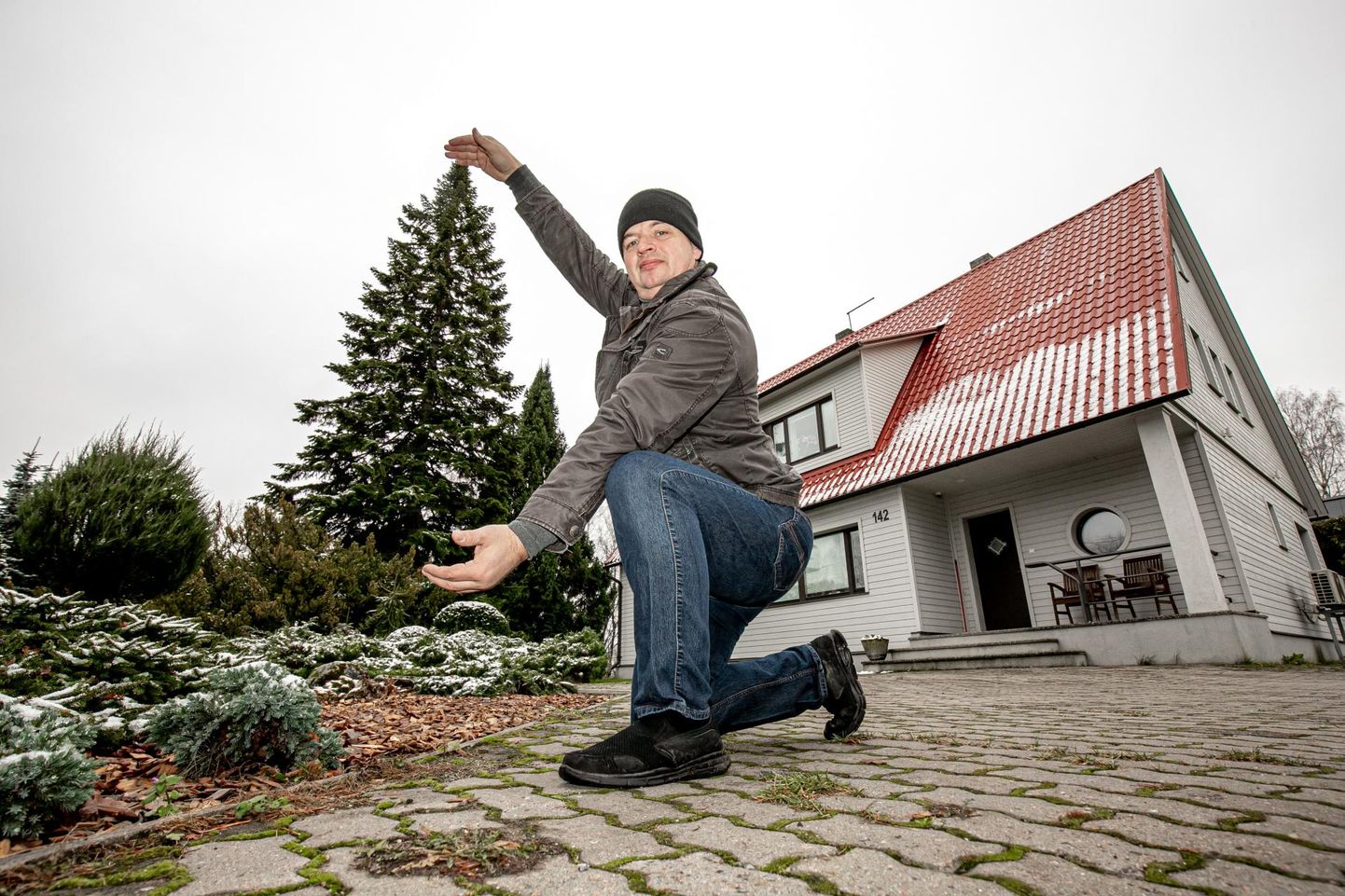 Andres Mõis mäletab Pärnu Keskväljakule jõulupuuks valitud nulgu oma koduõues kasvamas juba väikesest peast.