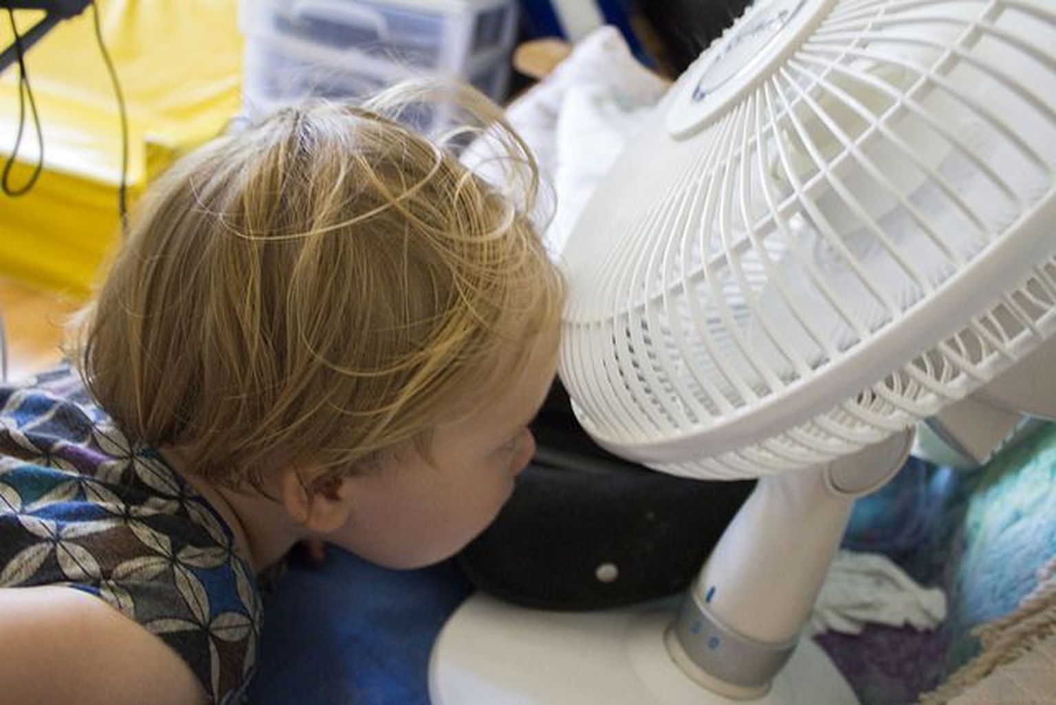 Laps ja ventilaator.