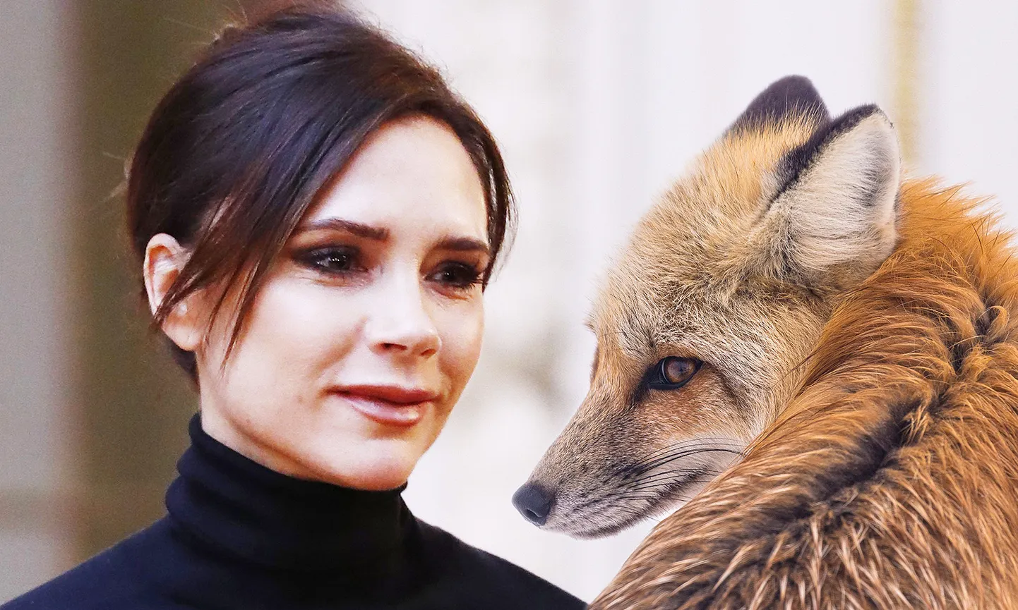 Raksta foto