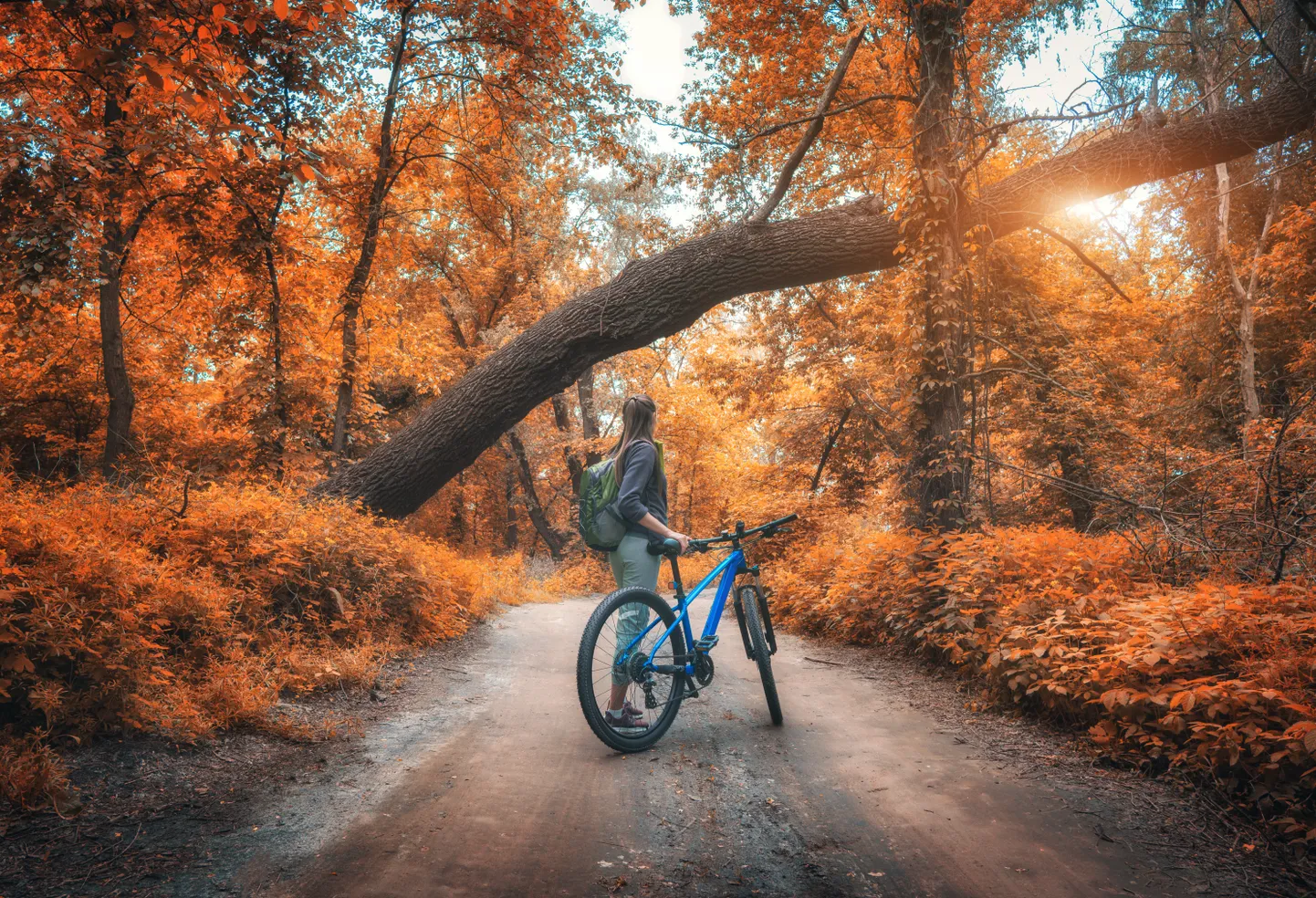 Foto on illustreeriv.