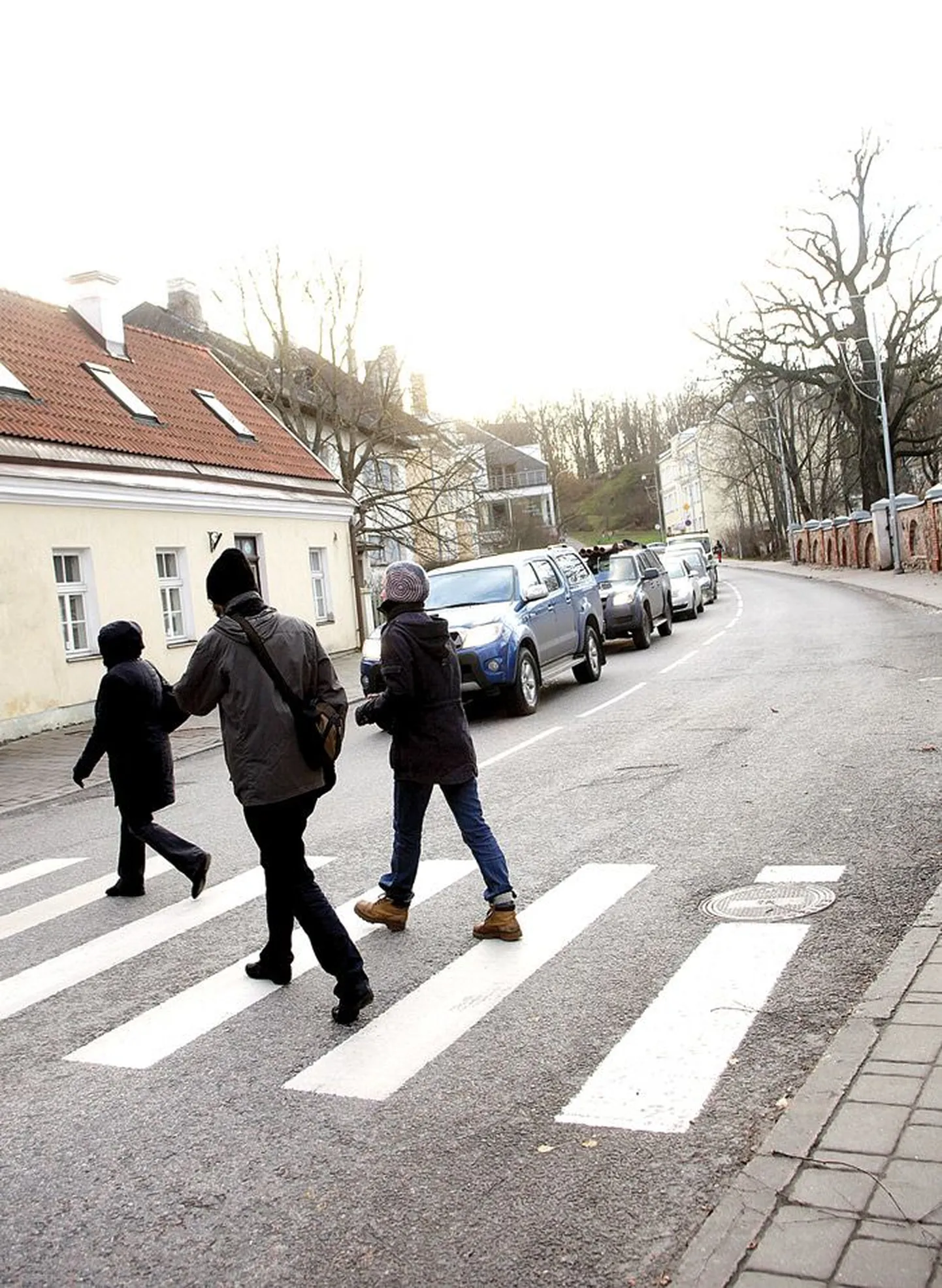 Kloostri tänava sebraraja juures suutsid üksteise järel taotluslikult pikkade vahedega aeglaselt kõndivad jalakäijad panna autoliikluse elegantselt seisma.