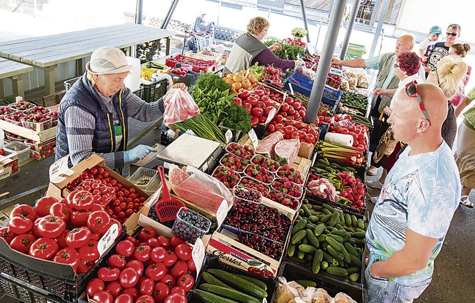 Pärnu turu lettidelt võib praegu leida läbisegi nii kodu- kui välismaiseid aiasaadusi, enim pakutakse kohalikust kraamist värsket kurki ja tomatit.