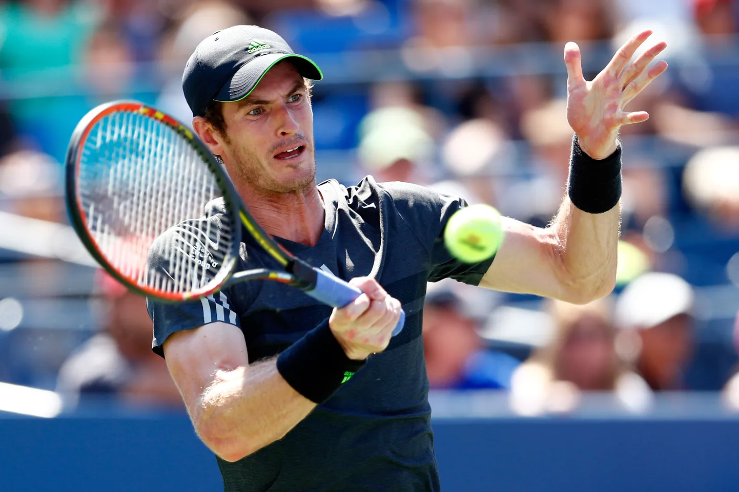 Andy Murray.