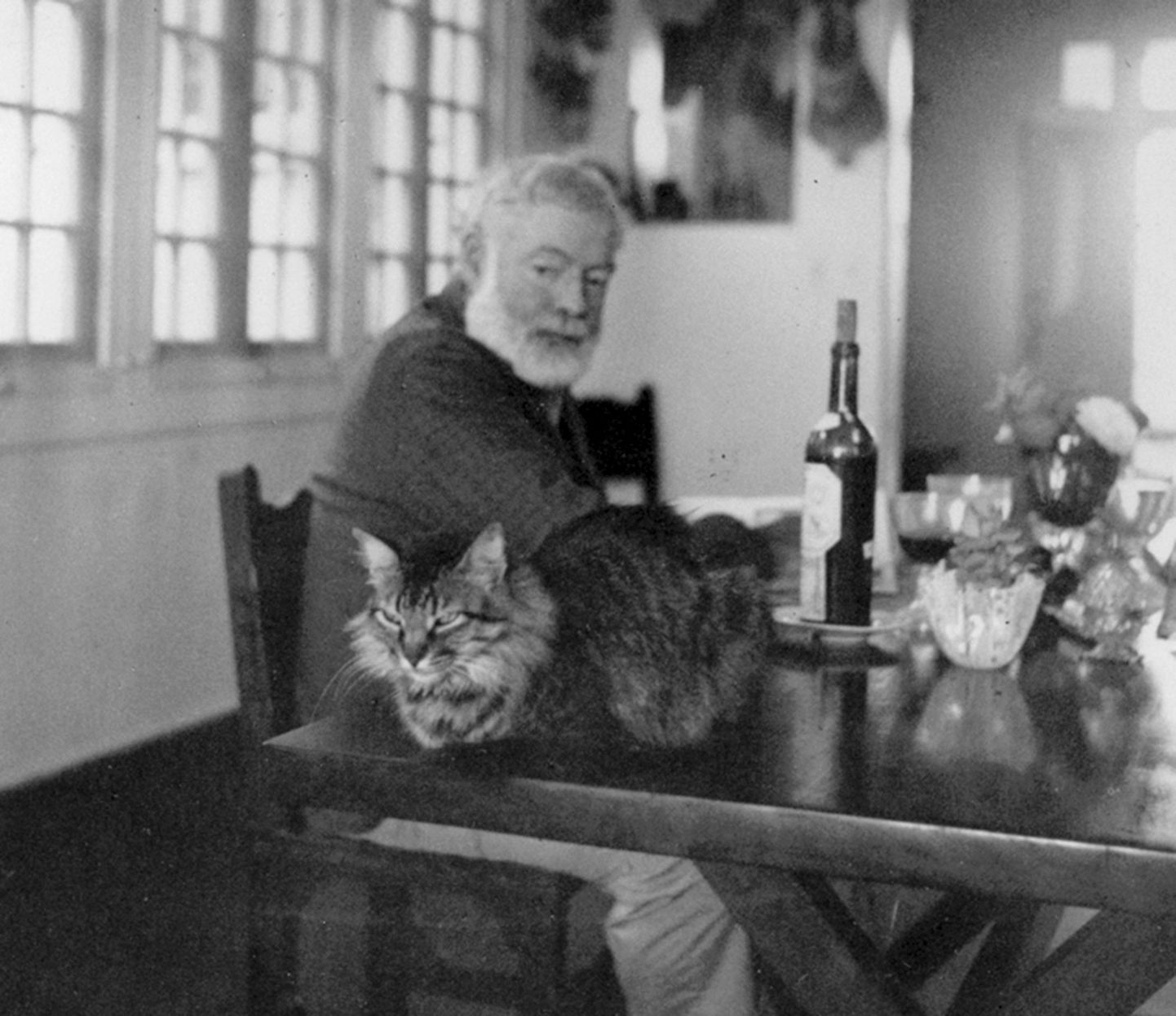 Ernest Hemingway oma kassiga.