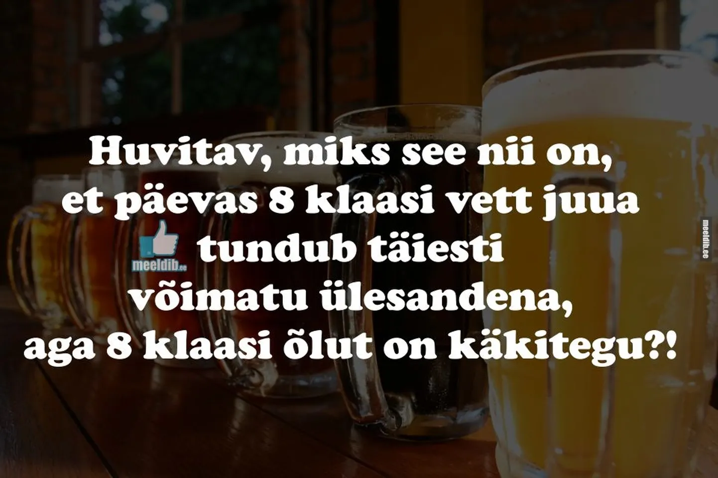 Artikli foto