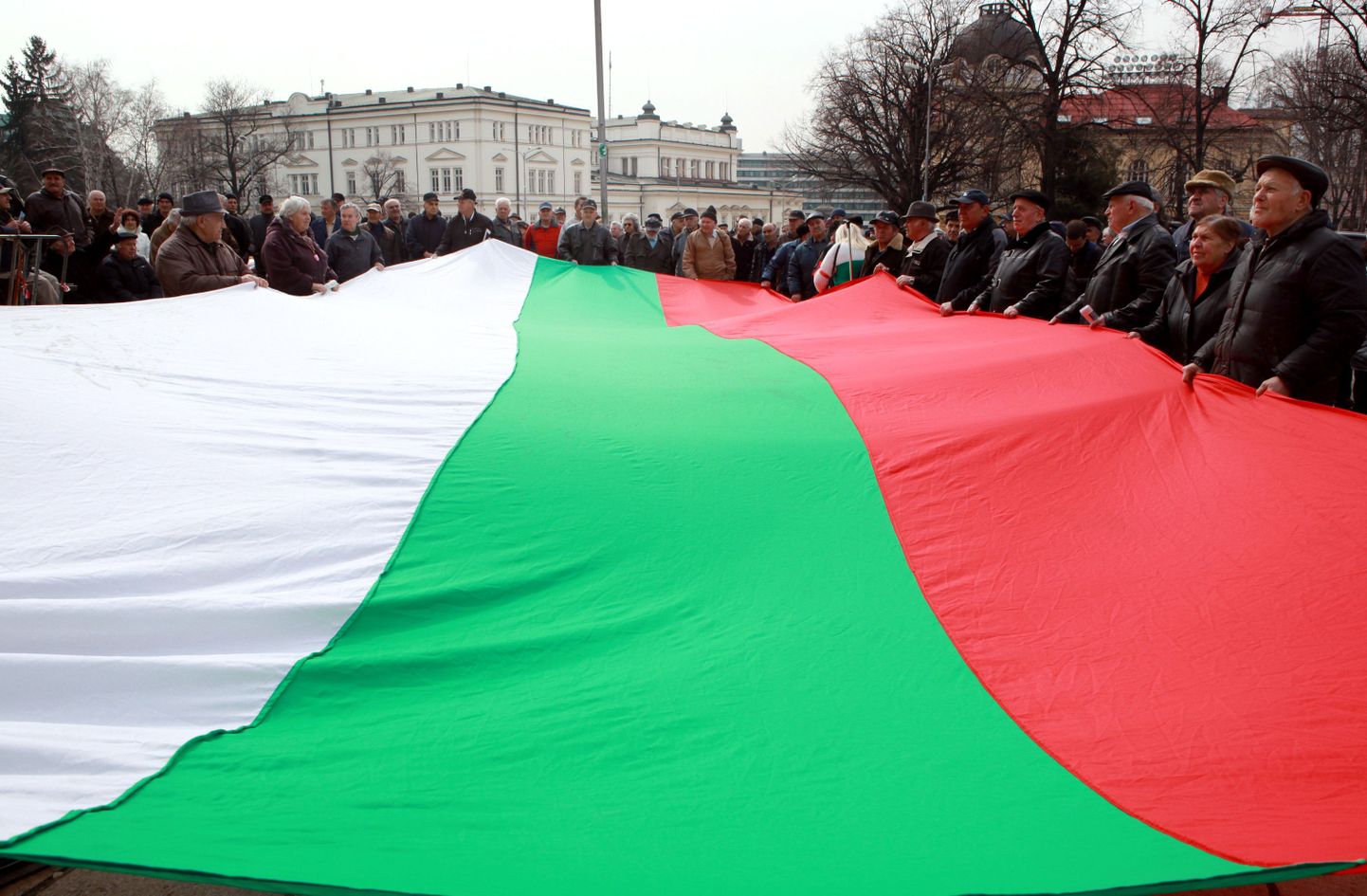 Hiigelsuur Bulgaaria lipp