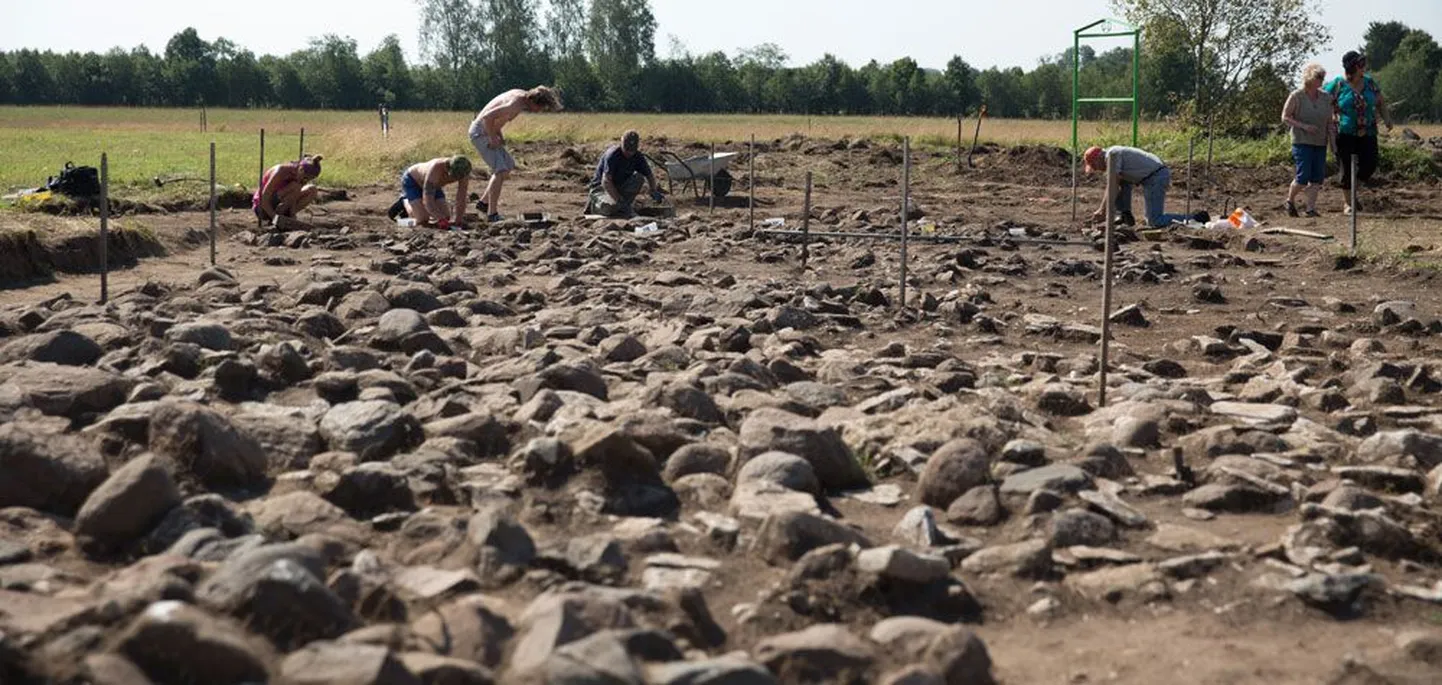 Maidla matuseala väljakaevamistöid on tehtud üle 2000 ruutmeetri suurusel alal, millele lisandus tänavu leitud puutumata ala.