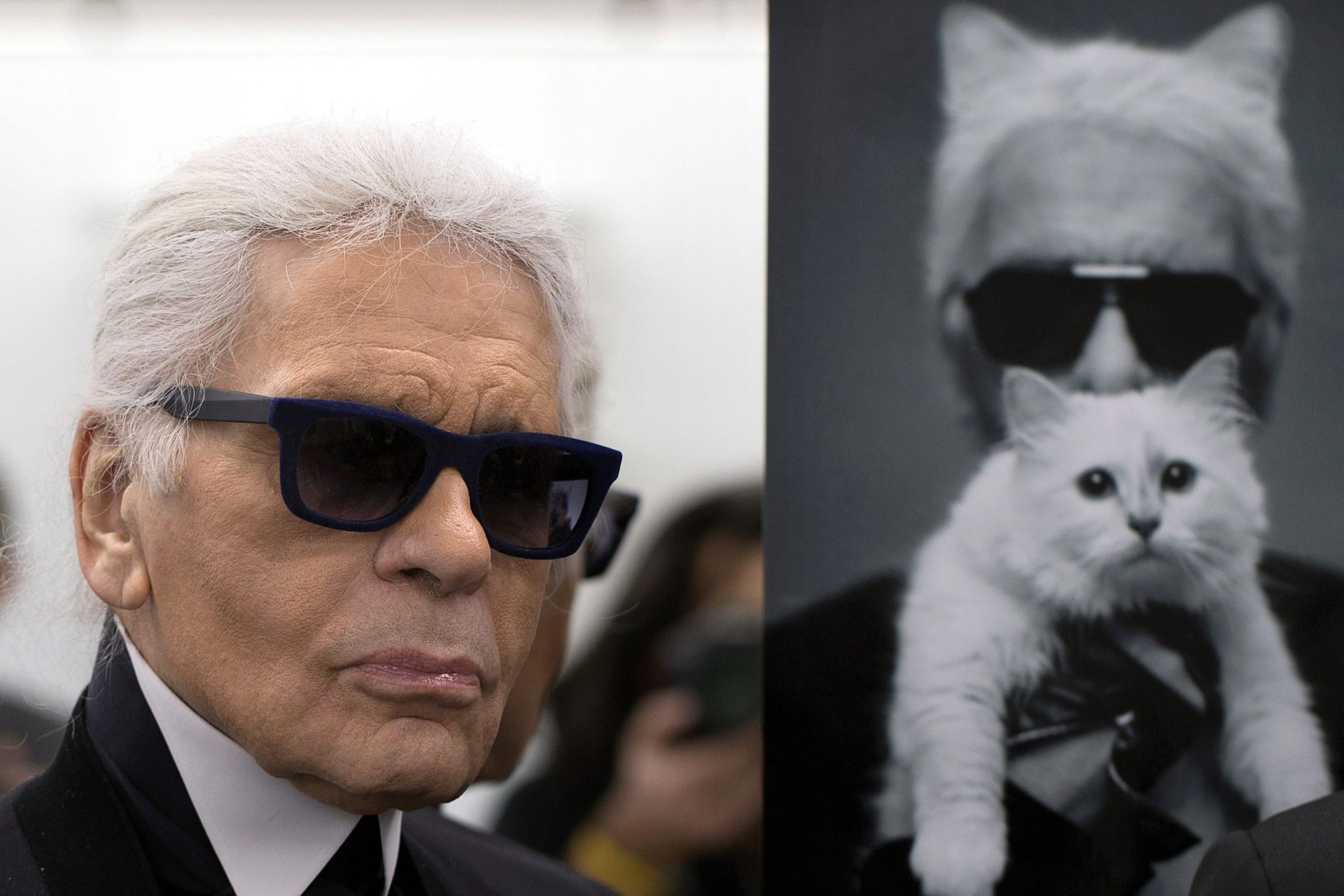 Karl Lagerfeld 2014. aastal poseerimas foto kõrval, millel on kujutatud teda tema kassi Choupette'iga.