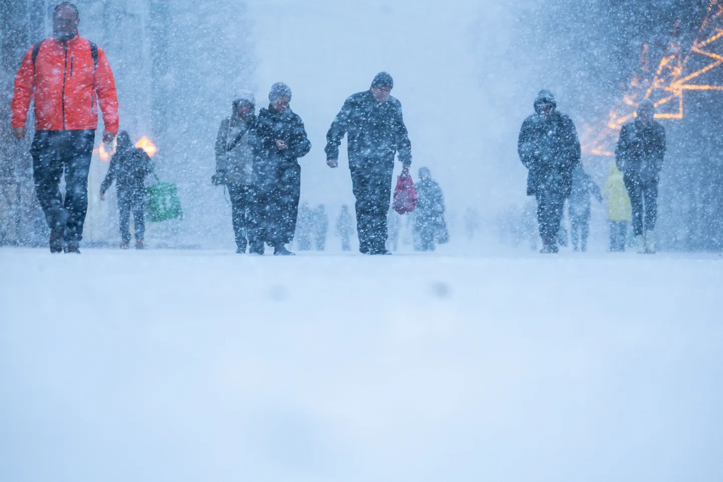Lumesadu Tartu kesklinnas.