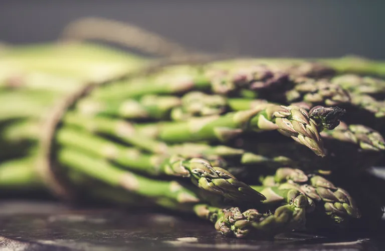 Spargel