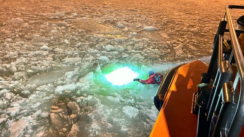 Lootsimeeskonna tähelepanelikkus päästis Paldiski Lõunasadamas noore luige elu