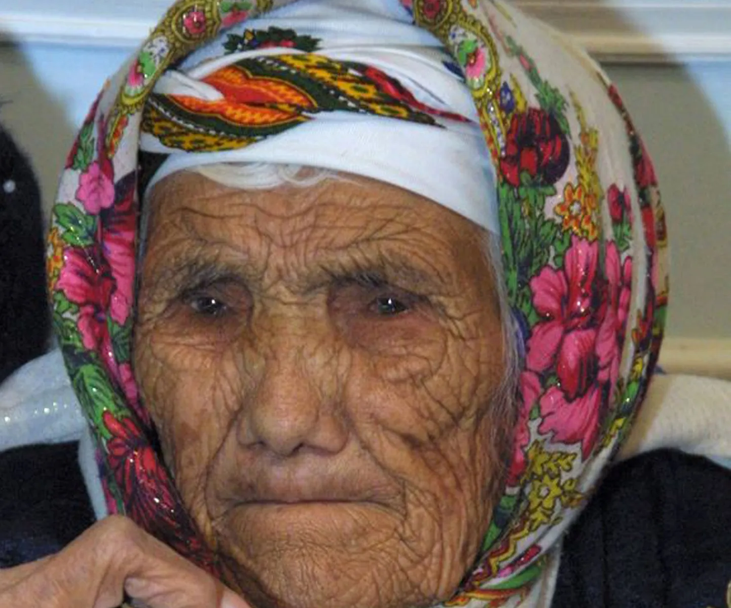 Artikli foto
