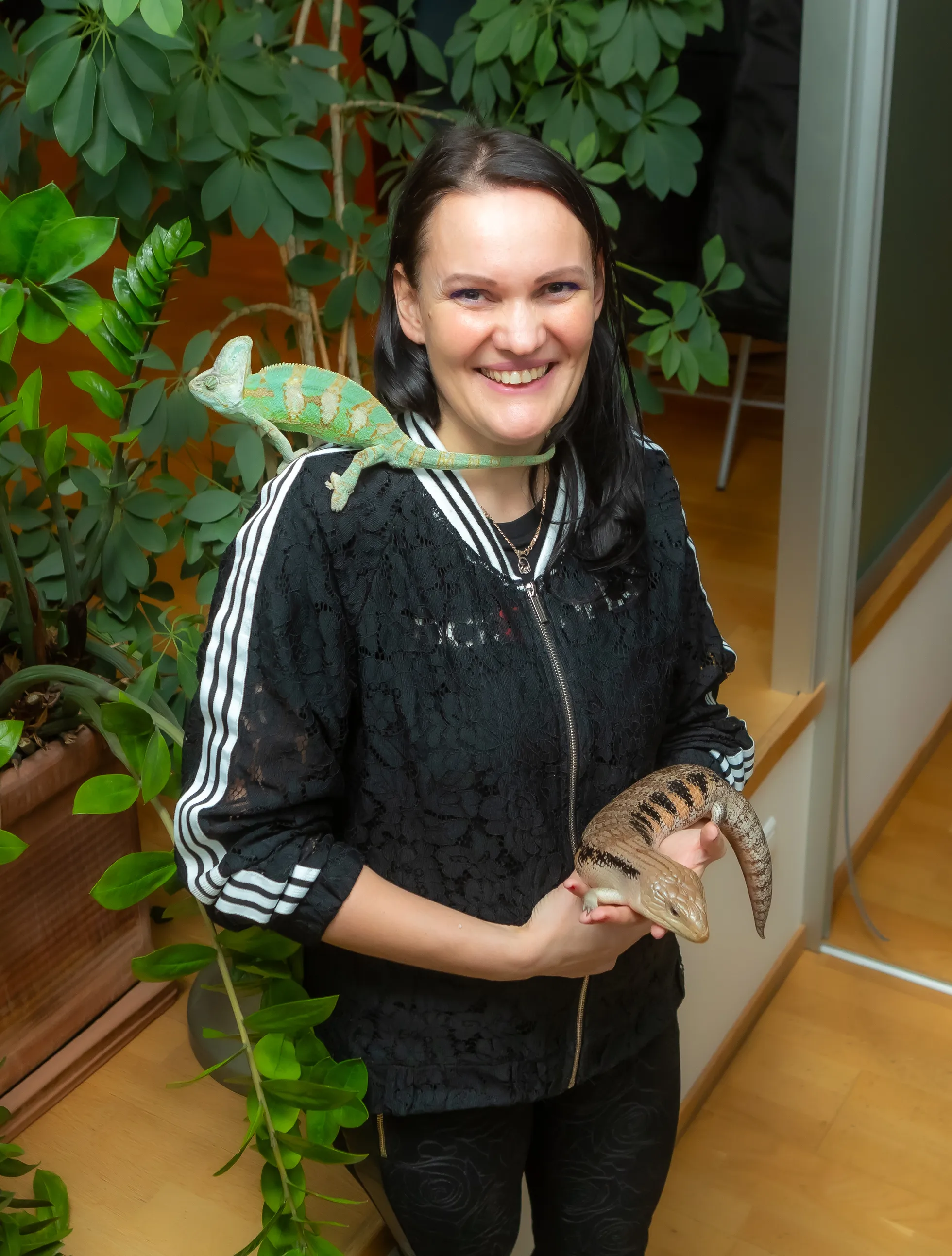 KUIGI KODUS ON 60 ERI LIIKI PUTUKAID, siis kõige südamelähedasemad on Merilile sisalikud, eriti tema sinikeel-skink (pildil süles) ning kameeleon (õlal).