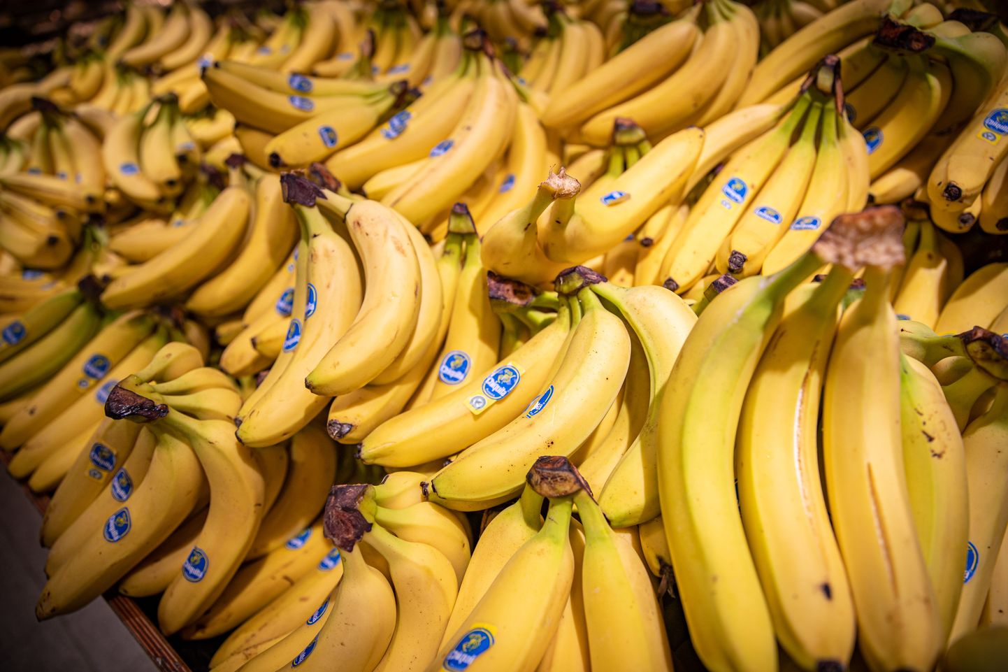 Banaanid. Lidli avamisega trumpavad Läti jäeketid üksteist üle banaanikilo hinna alandamisega.