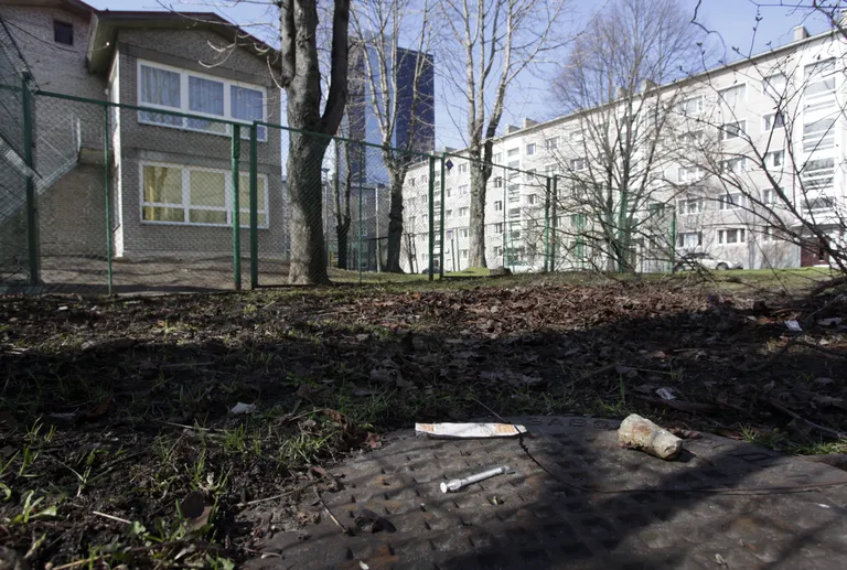 Selline vaatepilt avanes lasteaia tagusel haljasalal 2012. aastal. Vasakul aia taga asub lasteaed, taamal paistab maja, kus süstlaid taas vahetatakse. Foto: Peeter Langovits.
