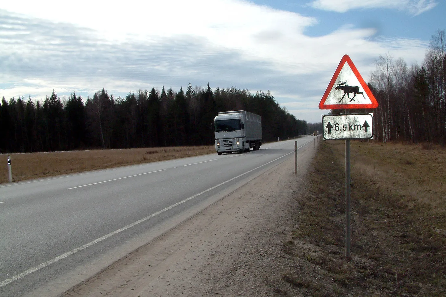 Põdraohu eest hoiatav liiklusmmärk maanteel.