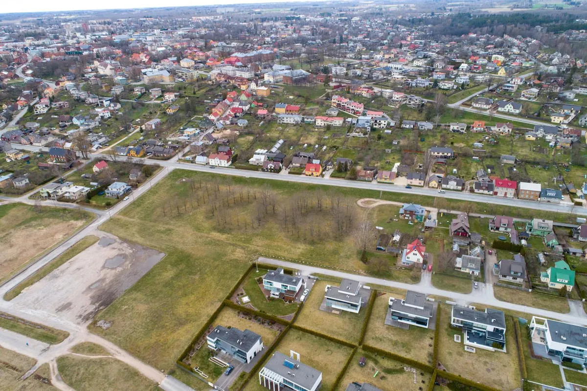 Viljandi asutamise 700. aastapäeva puhul 1983. aastal rajati Viljandi järve äärde Sõpruse park. Esialgu plaaniti sinna istutada arvu 700 kujuliselt pärnad, et aga pärnaistikuid polnud parasjagu saada, lepiti tammedega. Foto on tehtud aastal 2020.