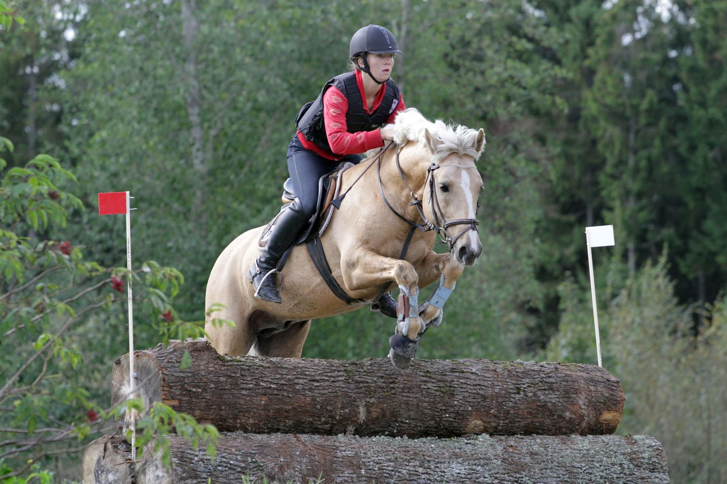 Kati Raidma ja tema Eesti tõugu hobune Ralf võitsid kolmevõistluses hõbemedali.
