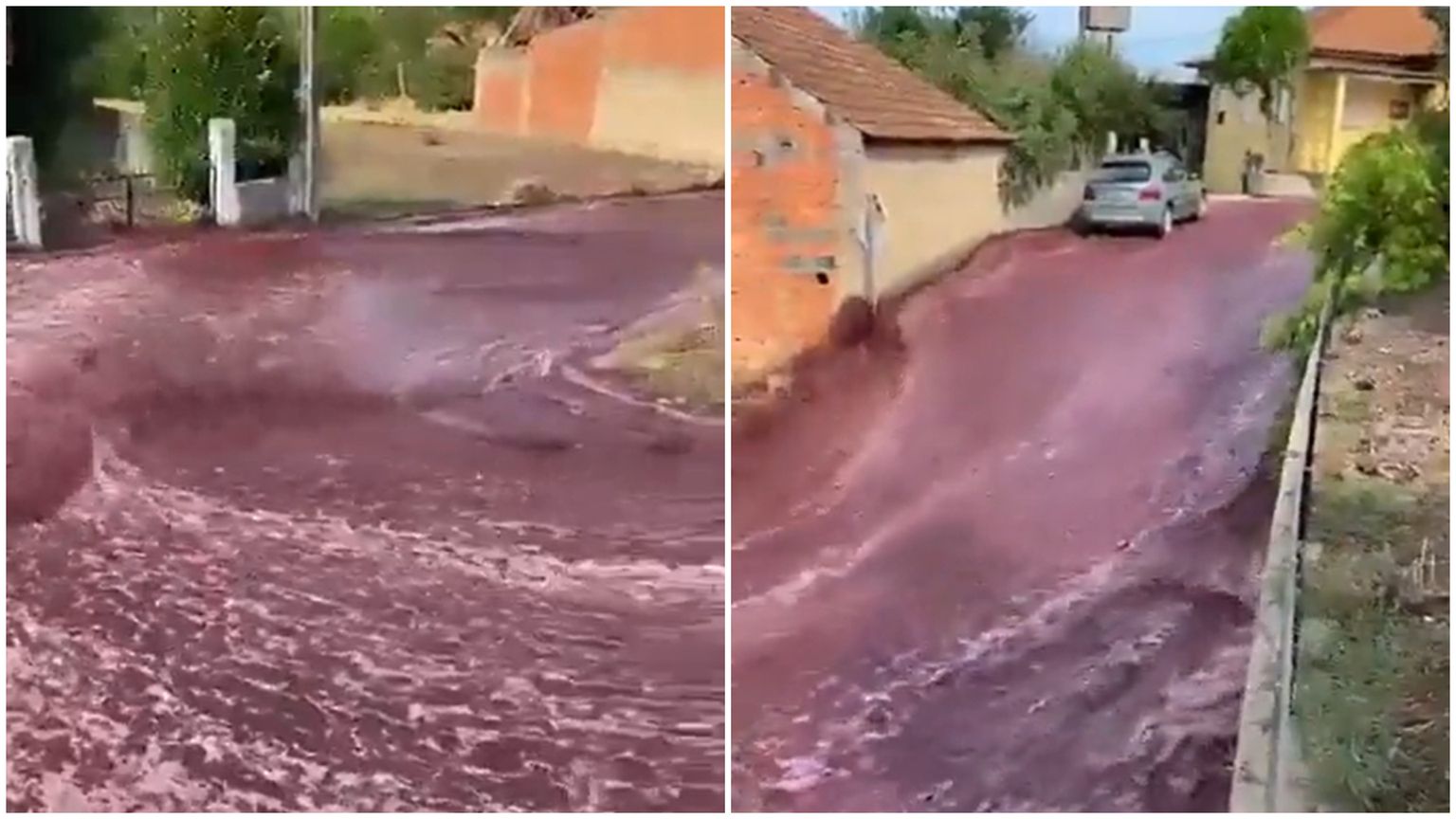 Vīna plūdi kādā ciematā, Portugālē.