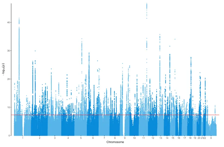 Joonis 1. Depressiooniga seotud geenivariandid ja nende asukohad genoomis.Viide: «Trans-ancestry genome-wide study of depression identifies 697 associations implicating cell types and pharmacotherapies» Major Depressive Disorder Working Group of the Psychiatric Genomics Consortium, Cell, 2025 Jan 14th