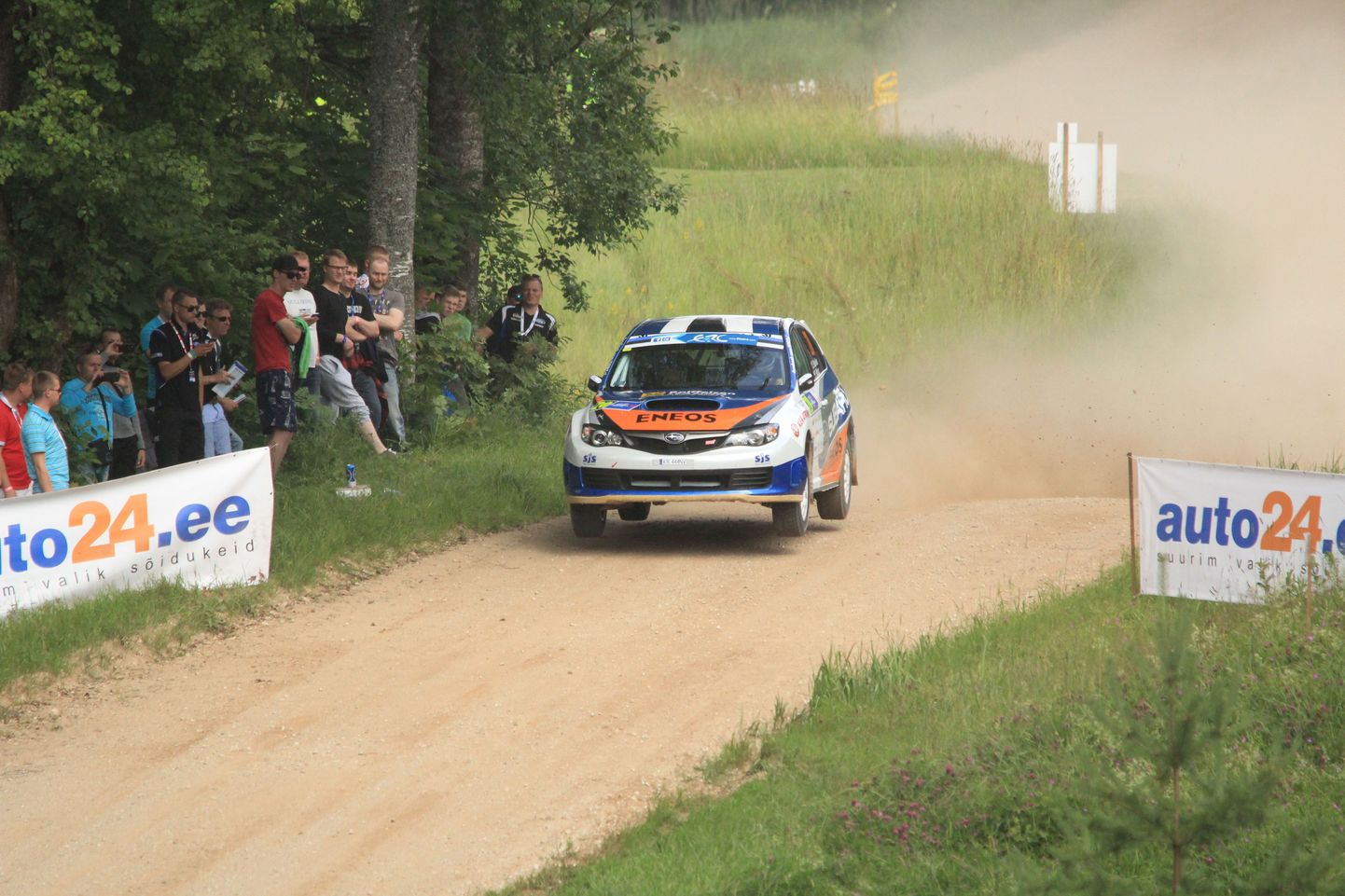 Rally Estonia 2015.
