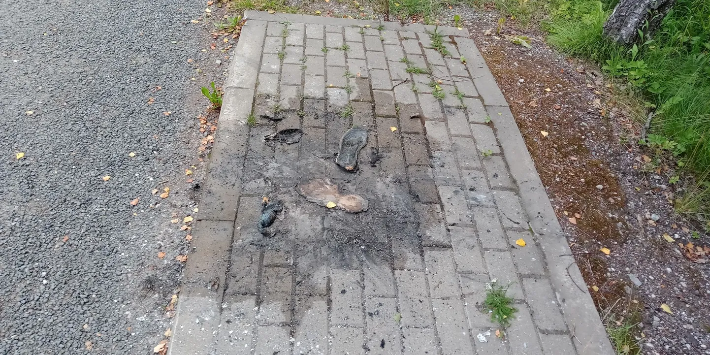 Õnnetud tallad