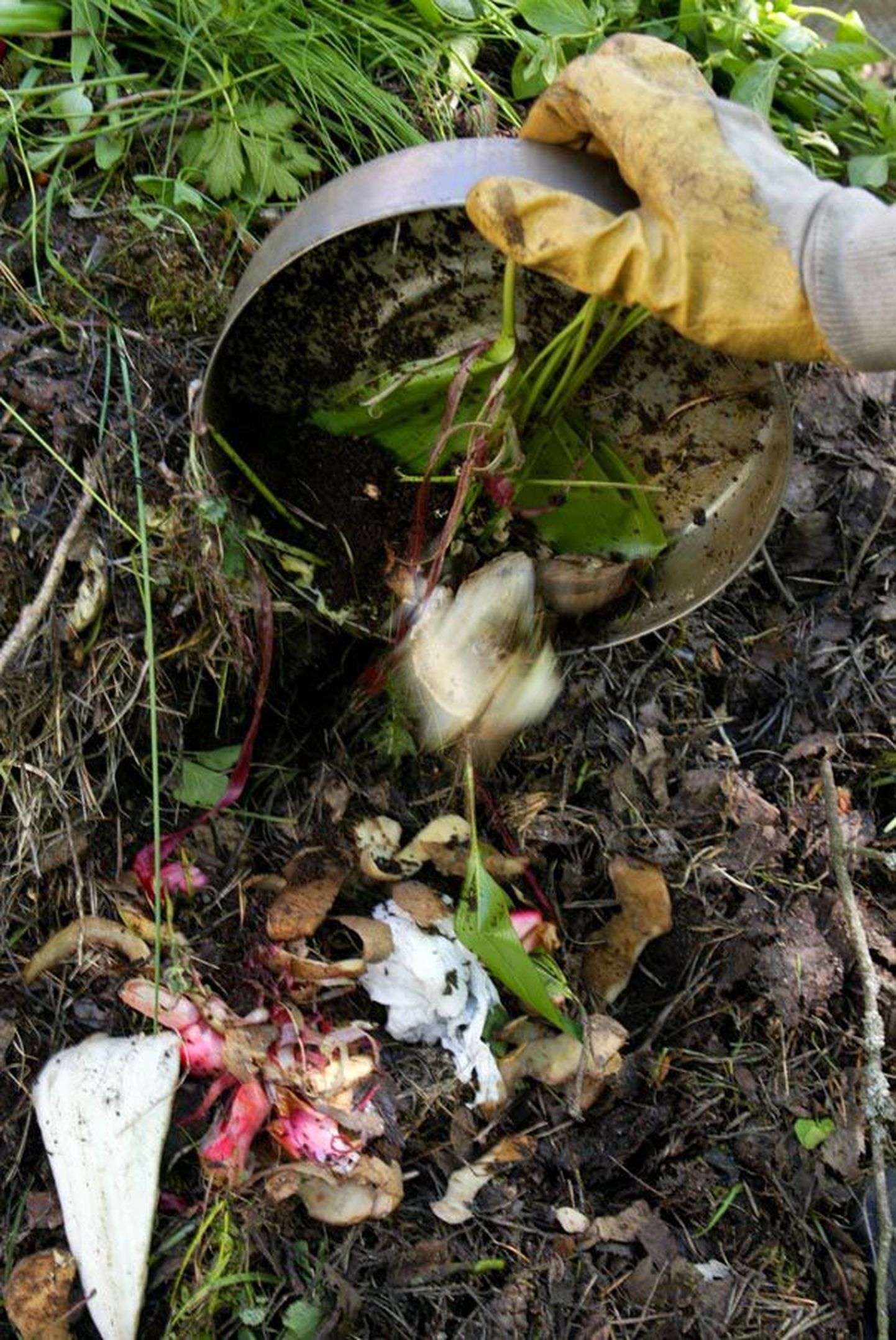 Kompostihunnikusse võib panna valdava osa koduseid toidu- ja aiajäätmeid. Kõdunenuna aitavad need omakorda aeda toita.