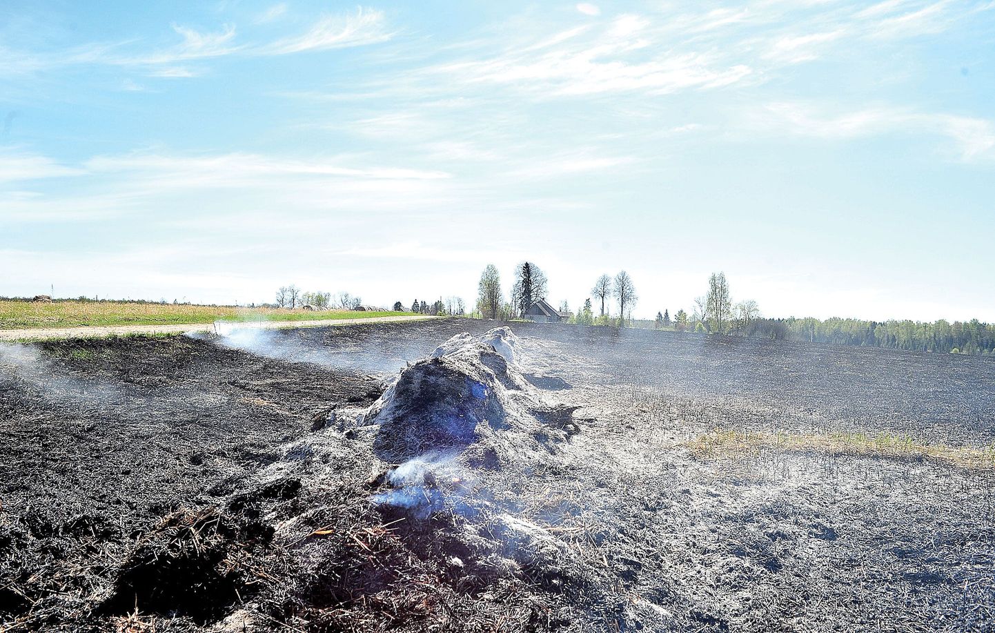 Pühapäevaõhtune päideroo põleng Tartu vallas Pupastveres söestas päästekeskuse hinnangul ligi kümme hektarit põldu. Tuhahunnikud suitsesid veel eilegi.