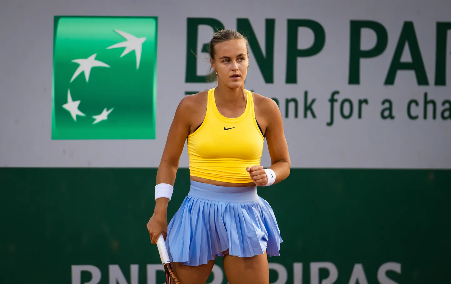 Anna Karolina Schmiedlová