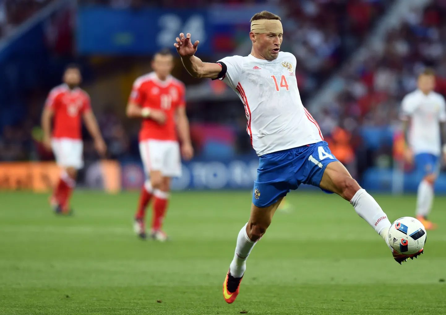 Василий Березуцкий