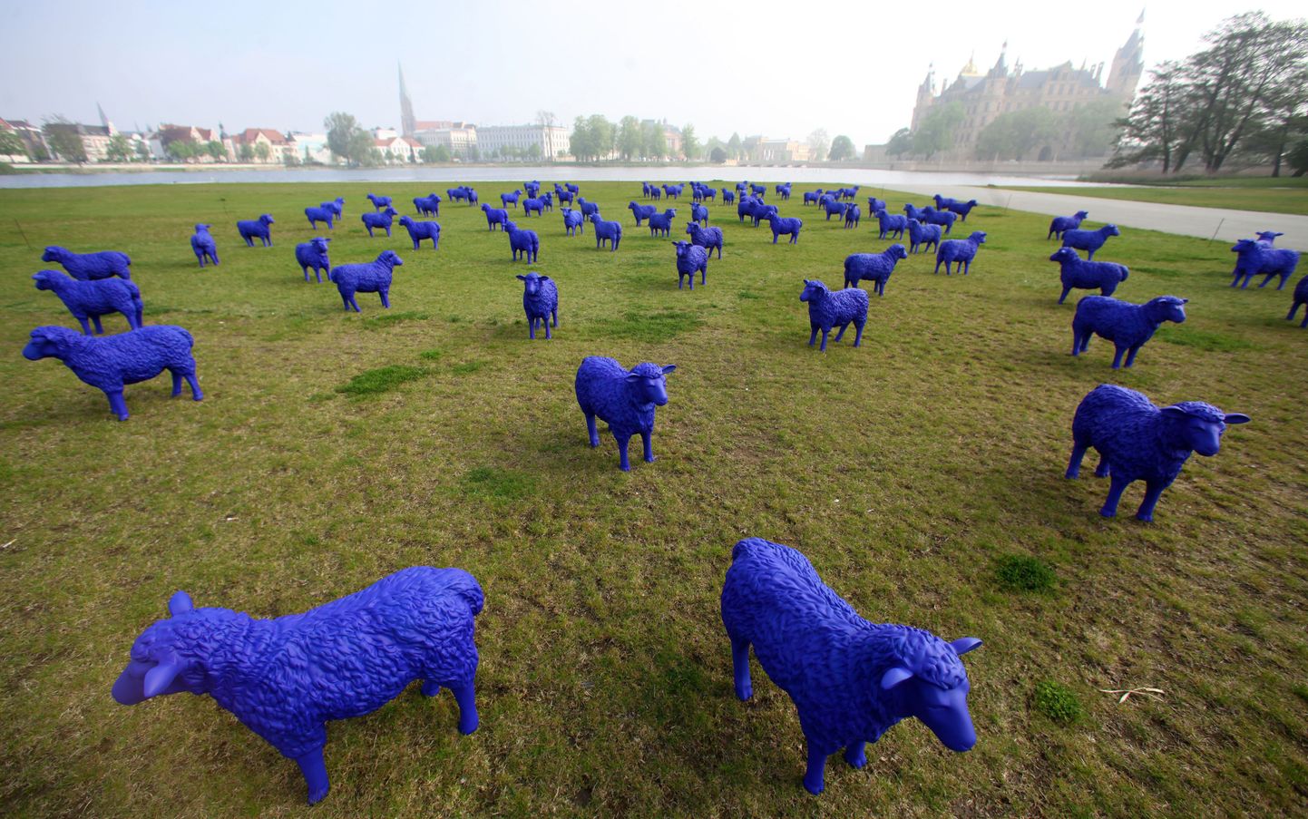 Sinist värvi lambakujud Schwerinis