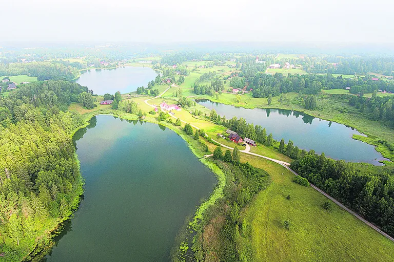 Ööbikuorg
