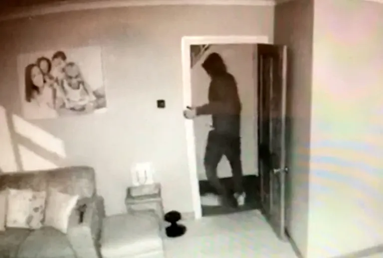 Artikli foto