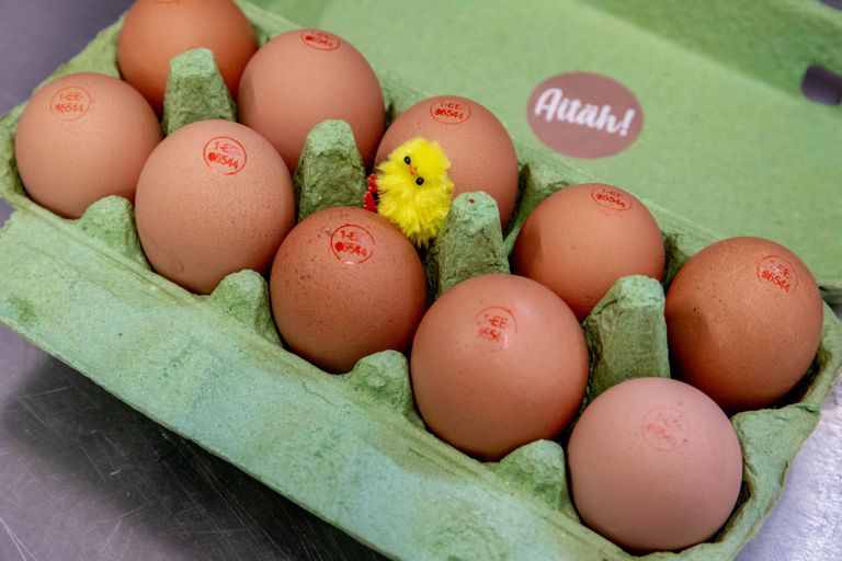 Pühadetervitusega munakarbist loeb teadlik ostja riigikoodi EE ees numbrist 1, et need on vabalt peetavate kanade munad.