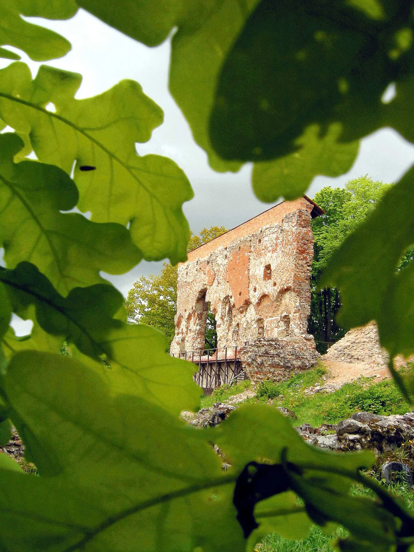 Artikli foto
