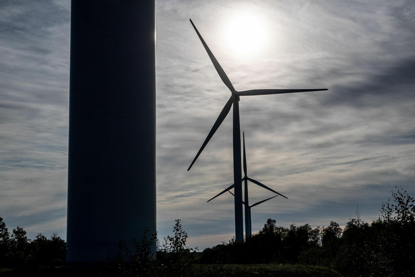 Pakri tuulepark (pildill) kuulub Enefit Greenile.