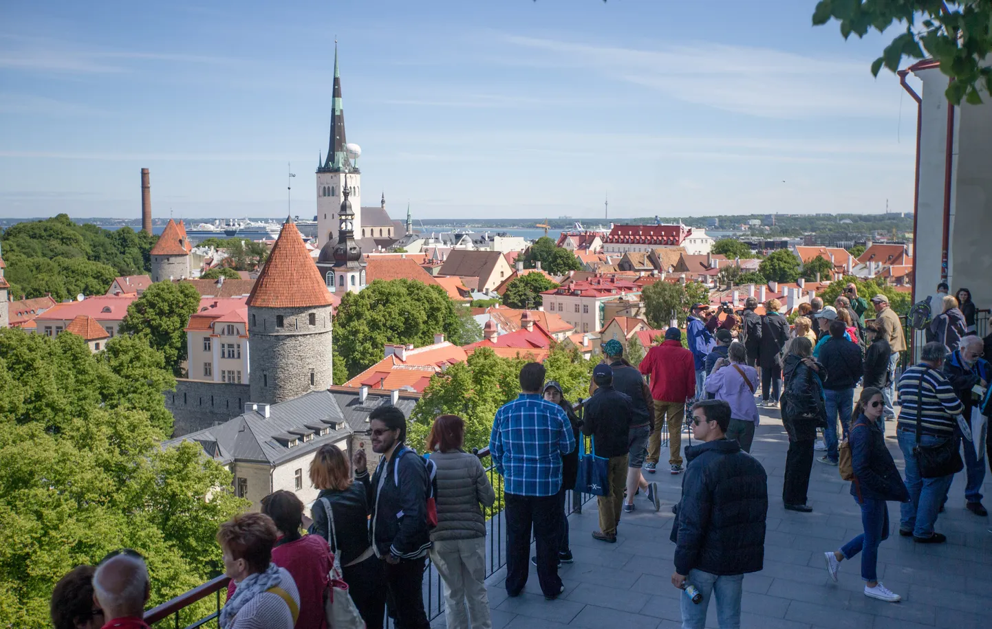 Eestis on startup-viisa programmi abil asutatud 238 iduettevõtet, milles töötab ligi 400 inimest.