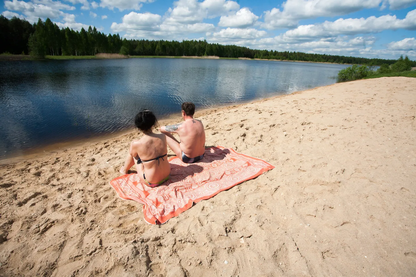 Tarbja tehisjärv