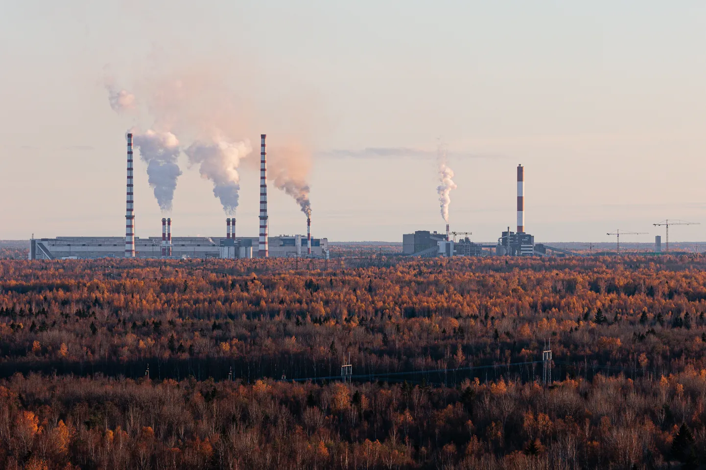По соседству с Аувереской и Эстонской электростанциями в 2026 году начнется строительство современного завода по производству воздушных газов - кислорода, азота и аргона.