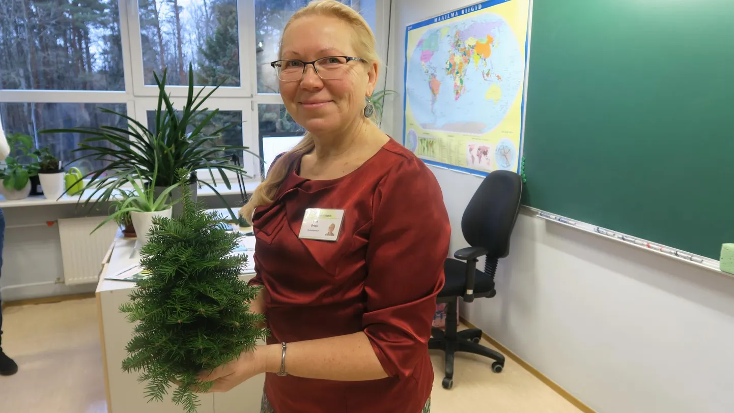 Erna Gross julgustab jõulukaunistusi ise tegema.