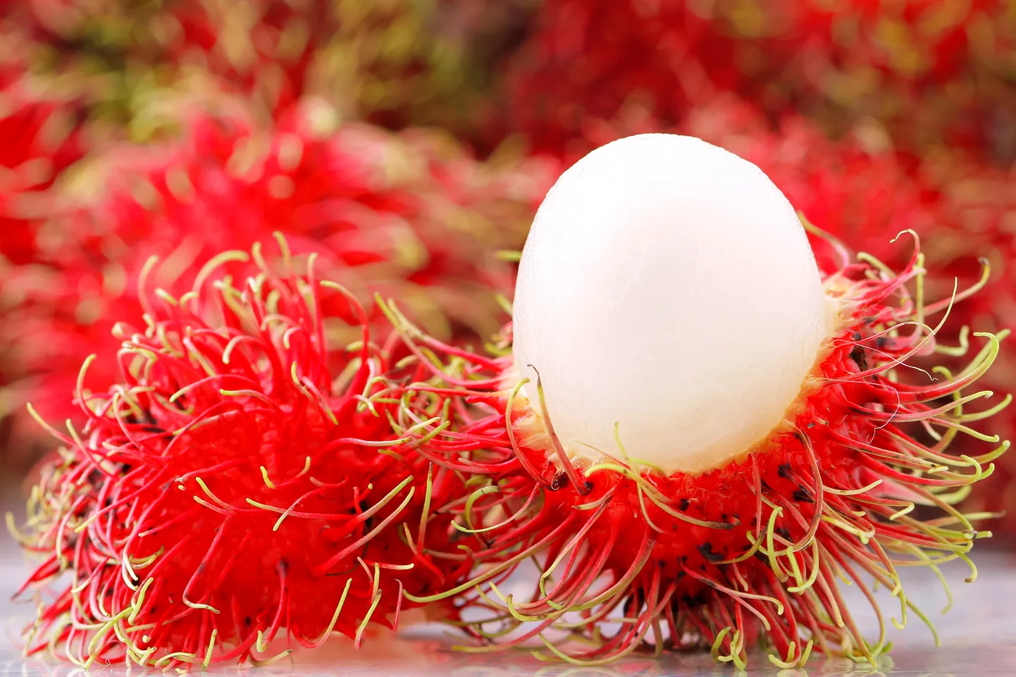 Rambutāns. Ilustratīvs attēls.