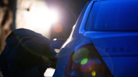 Полицейские Эстонии и Латвии схватили автомобильного вора